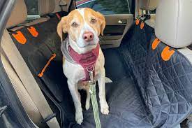 The 10 Best Dog Seat Covers Of 2024