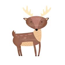 Deer Png Deer Clipart Digital