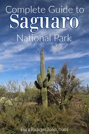 Saguaro National Park Epic Guide 2023