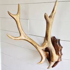 Wood Antler Wall Mount Antique Farmhouse