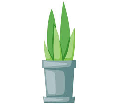 Ceramic Pot Indoor Plant Concept