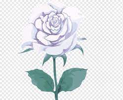 Euclidean Icon White Rose Watercolor