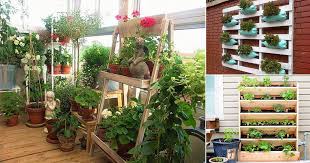 Small Garden In Your Balcony