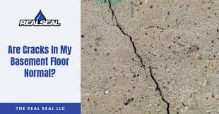 Are S In My Basement Floor Normal