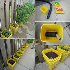 Diy Self Watering Container Garden