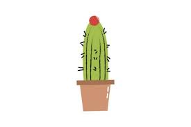 Ornamental Aesthetic Cactus Icon