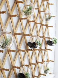 Creative Diy Indoor Hanging Plant Holders