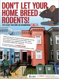 Rodent Prevention Mayors Office Of