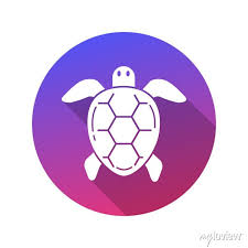 Sea Turtle Icon With Shadow Canvas