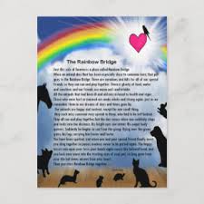 pet rainbow bridge postcards no