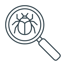 Bug Search Magnifier Magnifying Search