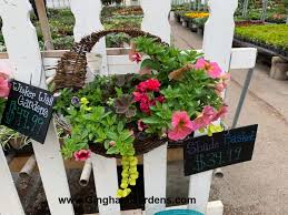 Diy Outdoor Wicker Basket Planters