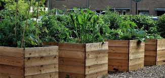 How To Build A Raised Garden Bed Step