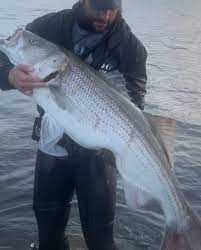 eastern long island fishing report