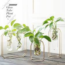 Container Flowers Plant Decor Hanging