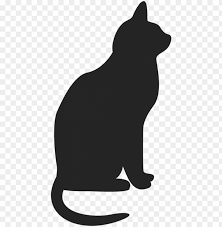 Cat Icon Transpa Background Png