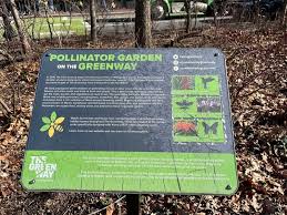 Pollinator Garden On The Greenway
