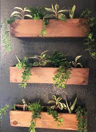 Diy Living Plant Wall