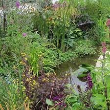 Wildlife Habitat In Near The Pond