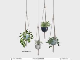 Millennial Hanging Plant V1