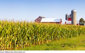 It Modernization Usda Needs To Improve