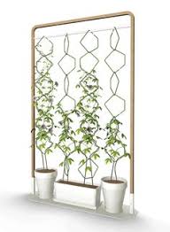 47 Indoor Vertical Garden Ideas