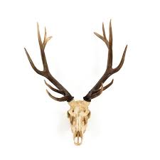 Ombre Brown Antler Deer Skull Shi017