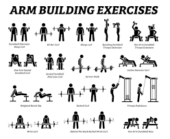 Arm Hand Building Exercise Muscle