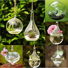 Hanging Glass Ball Vase Flower Plant
