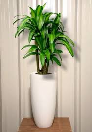White Fiberglass Garden Planter Size