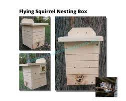 Southern Flying Squirrel Nesting Box