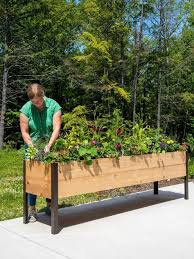 Top 10 Best Wood For Raised Garden Beds