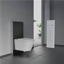 Concealed Toilet And Cistern