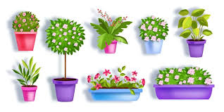 Flower Pots Vector Garden Spring Set