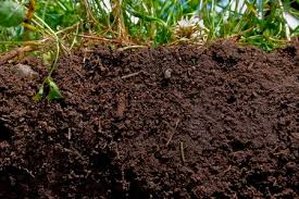 Soil Improvements And Preparation Uc
