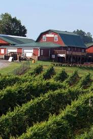Central Virginia Food And Wine Getaway