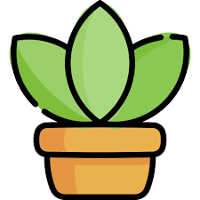 Plant Pot Special Lineal Color Icon