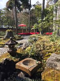 How I Came To Love Japanese Gardens