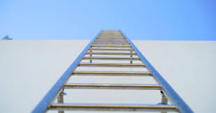 Wall Mounted Ladders