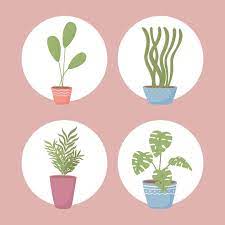 Premium Vector Icon Set Pot Plants