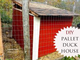 Diy Pallet Duck House Pallet Dangers