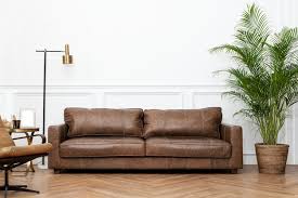 Brown Sofa Images Free On