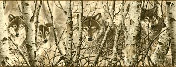 Wolves King From Birch Trees