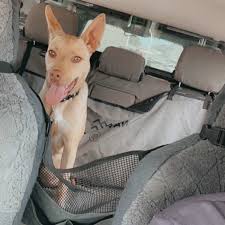 Navigator Dog Seat Buddy Outback
