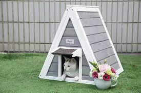 15 Best Cat Houses And Condos The