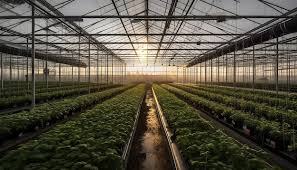 Free Photo Futuristic Greenhouse With