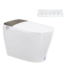 Smart Bidet Tankless Toilet