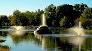 Beautiful View Of A Bright Green Pond