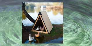 A Frame Duck Coop Plans Urban