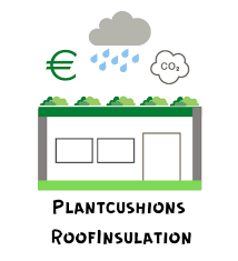 Roofinsulation Sustainable Development